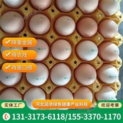 新鲜绿之淳含硒鸡蛋 农家养殖鲜蛋 蛋香浓郁 快速发货